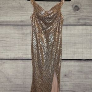 Fashion Nova Sequin Maxi Dress